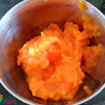 Carrot Puree 6