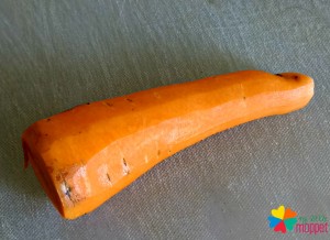Carrot puree 1