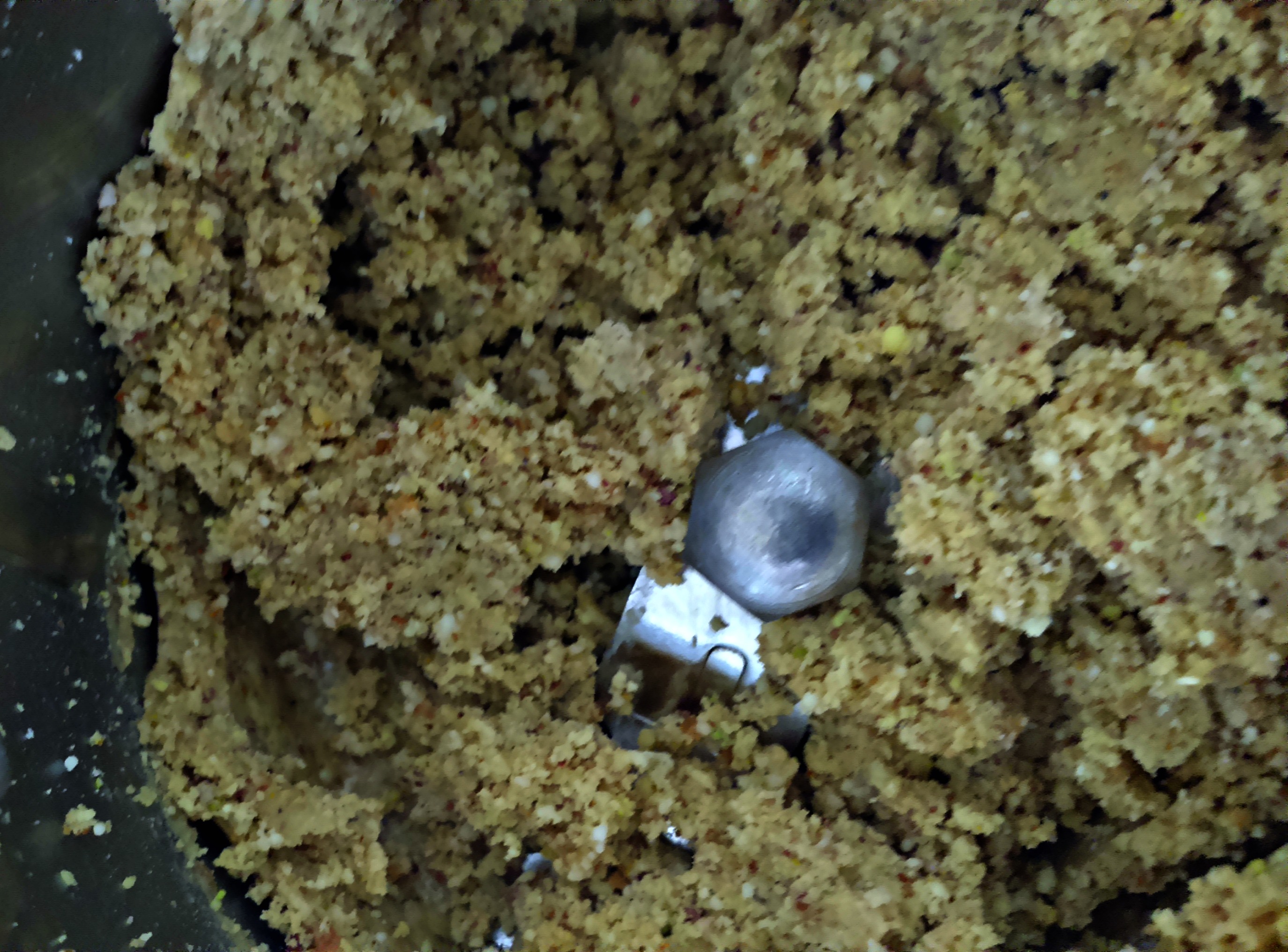 How to make Dry Fruits Powder For Babies easily at Home? My Little Moppet