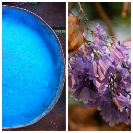 blue color homemade holi powder recipe