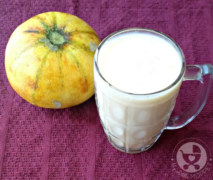Muskmelon Kharbuja Cantaloupe Milkshake Recipe