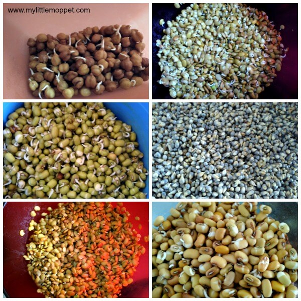 How to sprout grains and beans for sathumaavu powder for babies