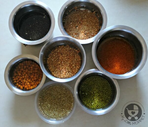 Sprouting grains and beans for sathumaavu powder for babies