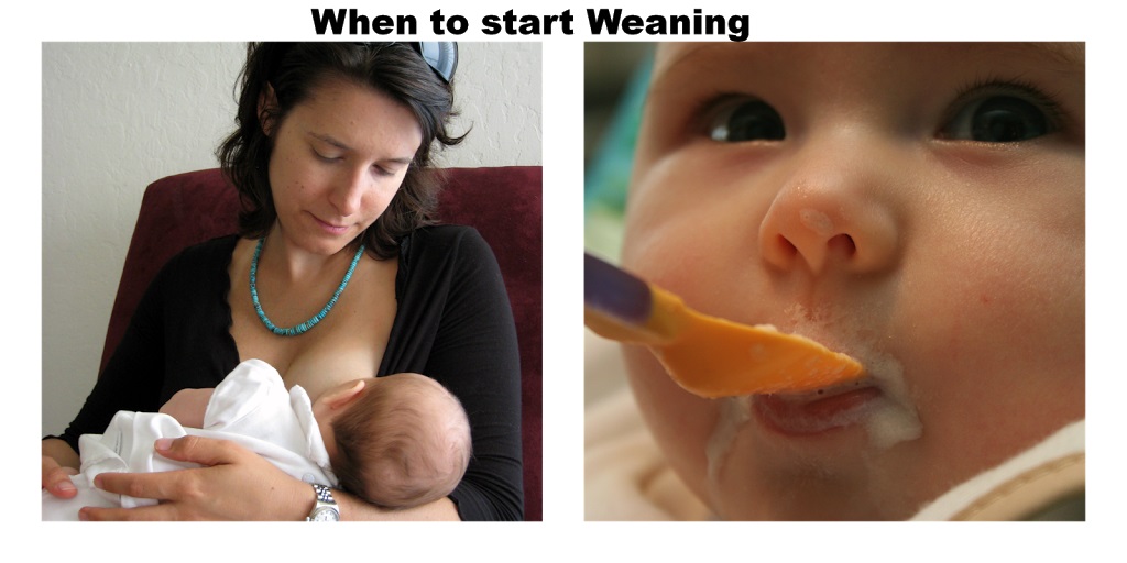 Weaning - When to Start Solids for Baby