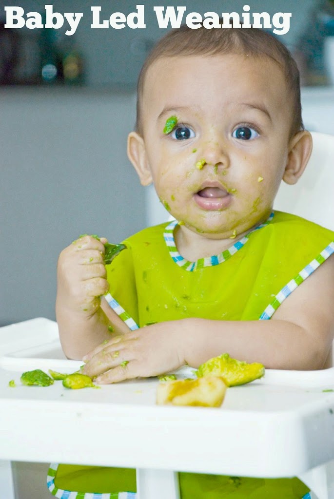 Baby Led Weaning Getting Started My Little Moppet