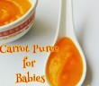 Carrot Puree for Babies