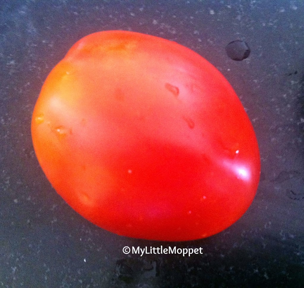 Tomato Juice for Babies My Little Moppet