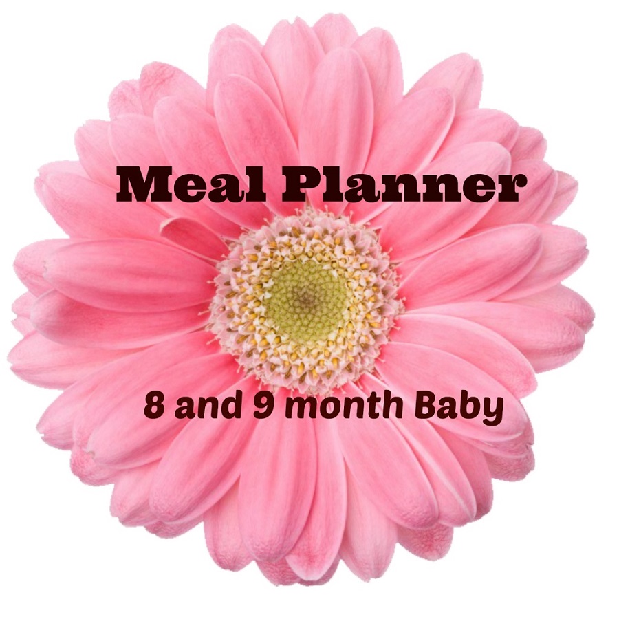Meal Planner for 8 and 9 month Babies