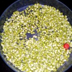 Sprouts dosa 