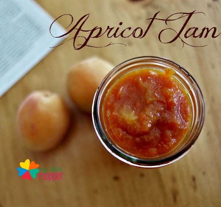 Homemade Dried Apricot Jam Recipe for Kids My Little Moppet