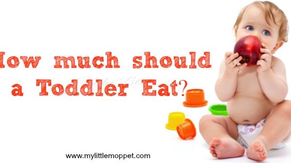 how much should a toddler eat