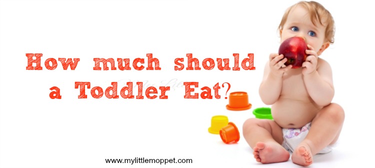 How much should a Toddler Eat?