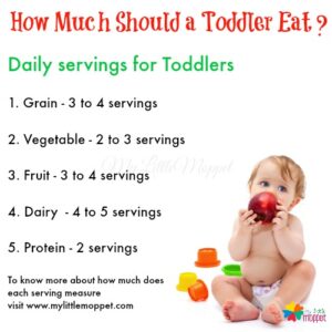 how much should a toddler eat daily