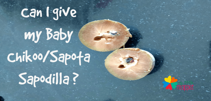 Can I give my Baby Chikoo/Sapota /Sapodilla?