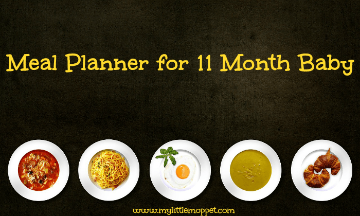 meal planner for 11 month baby