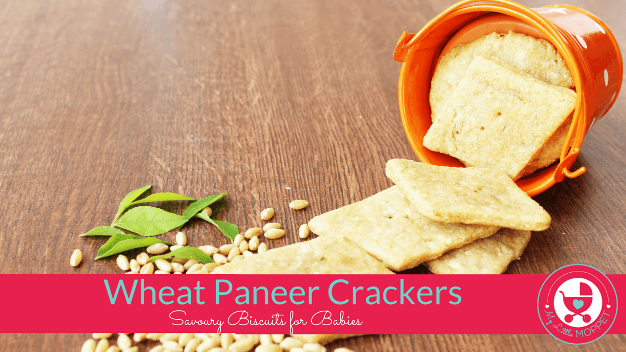 Homemade Paneer Wheat Biscuit Recipe for Kids