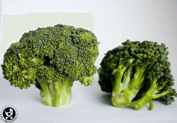 Broccoli Calcium , Brokkoli Nährwerte – ESAUFF