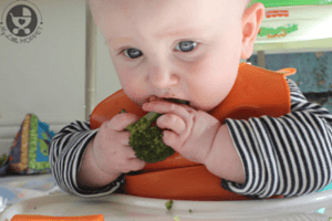 foods for babies without teeth