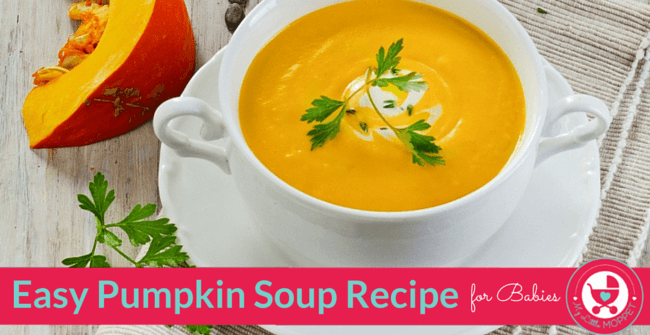 Easy Pumpkin Soup Recipe for Babies - My Little Moppet