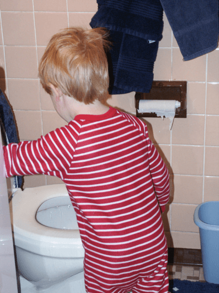 step by step guide to potty training