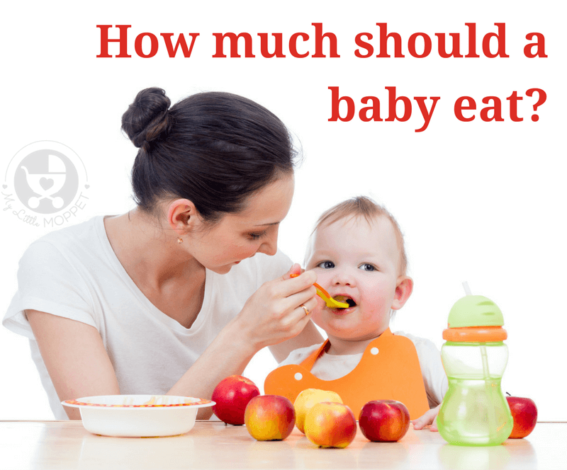 'How much should a Baby eat?' is a common question among Moms. Here, we answer this question for every age and stage of weaning your baby.