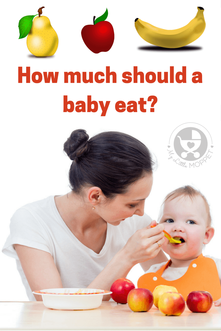 'How much should a Baby eat?' is a common question among Moms. Here, we answer this question for every age and stage of weaning your baby.