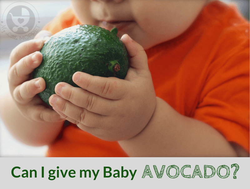Can I give my Baby Avocado?