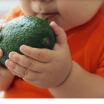 Avocado is a fruit with a load of health benefits which makes Moms wonder, "Can I give my baby avocado?" The answer is - yes you can, and you must!
