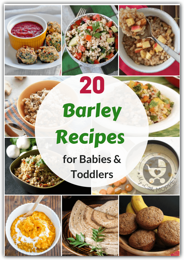 Barley is a healthy ingredient that's great for babies! Find out ways to introduce this grain in your diet with these Barley Recipes for babies & toddlers.