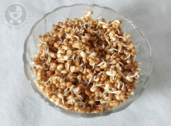 Sprouted Moth Beans Frankie Recipe