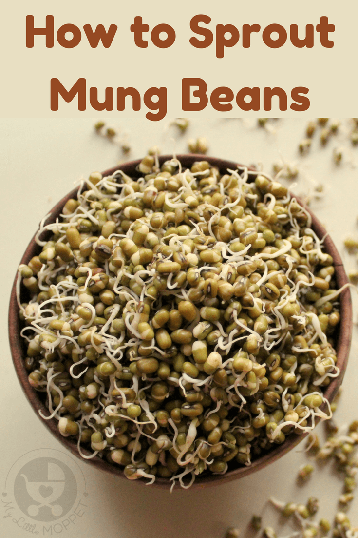 Sprouting beans makes them more bio-available - which means they are better absorbed by the body. Try making your own sprouts at home with this easy recipe!