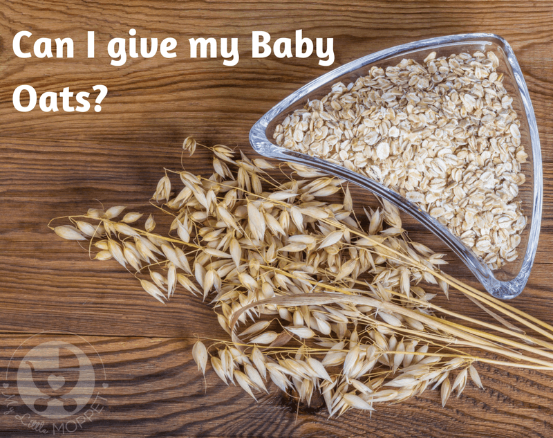Oats are among the world's healthiest foods, yet many Moms are hesitant, asking "Can I give my baby oats?" Find out if, when and how you can introduce oats for your baby.