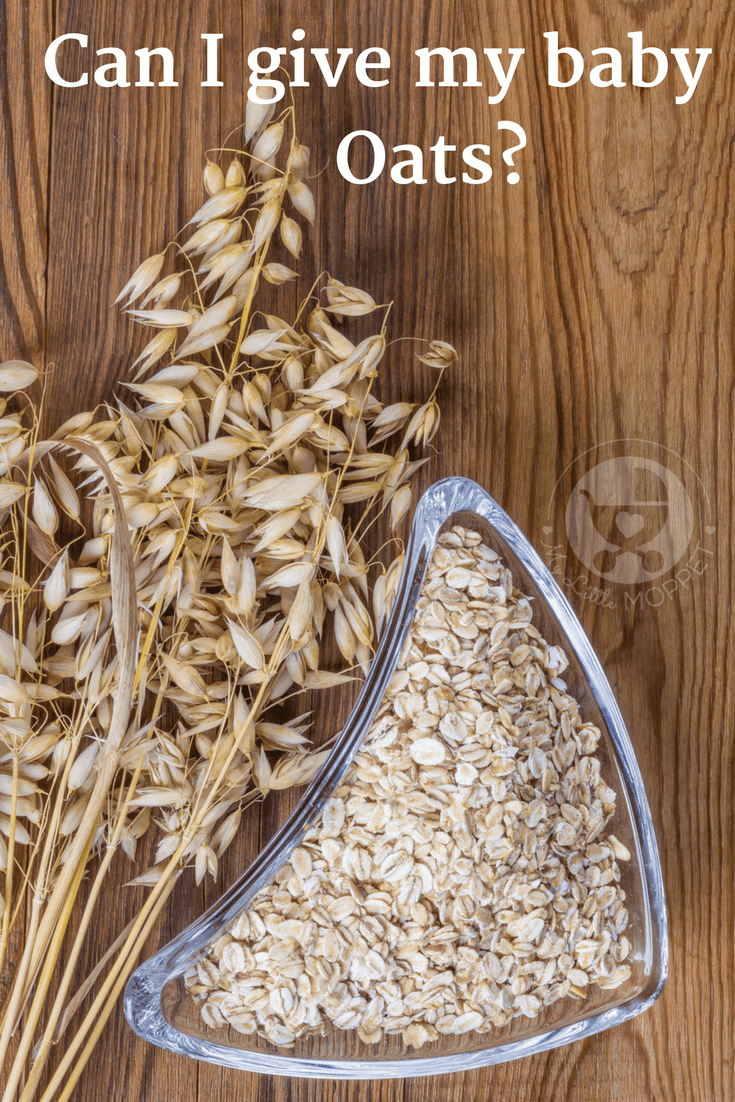 Oats are among the world's healthiest foods, yet many Moms are hesitant, asking "Can I give my baby oats?" Find out if, when and how you can introduce oats for your baby.