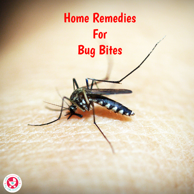 Don't scratch that itch! Here are 8 effective home remedies for bug bites to get rid of the irritation without any harmful side effects.