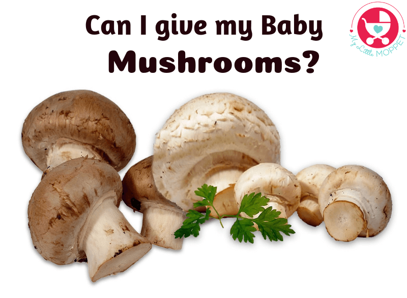 Can I give my baby Mushrooms
