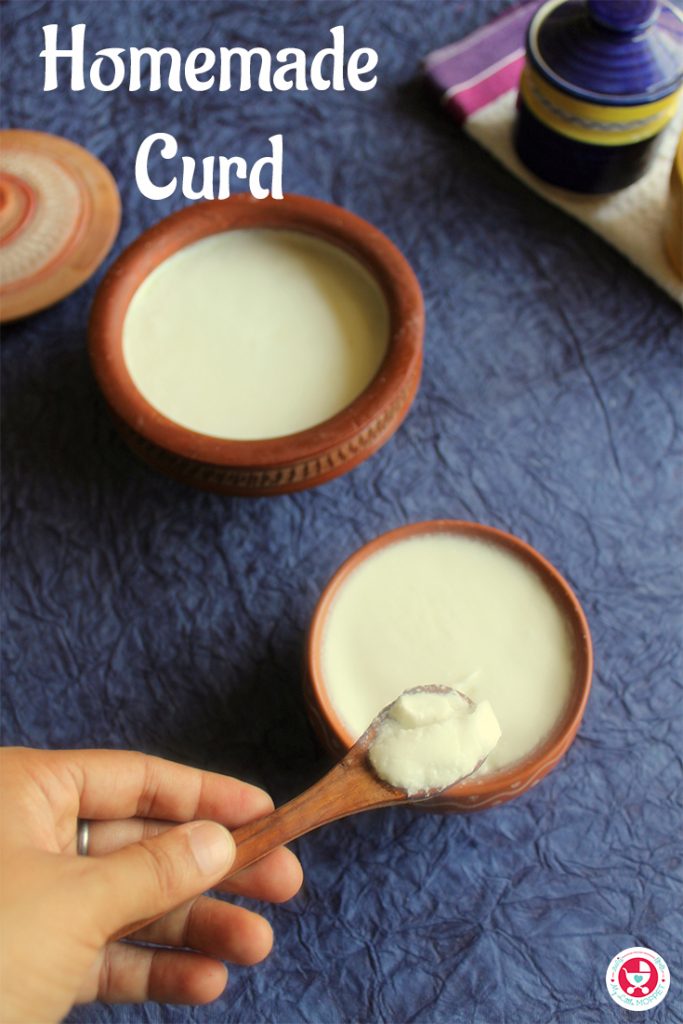 Homemade Curd Simple procedure of making curd