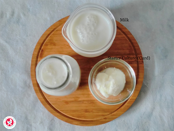 How to make Homemade Curd?