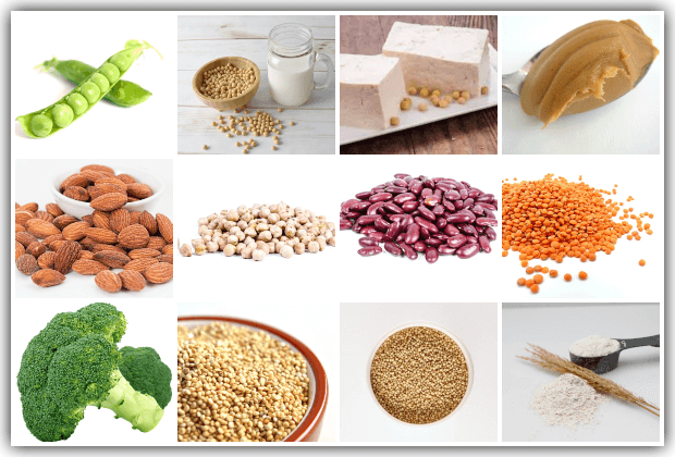 protein sources for babies and kids