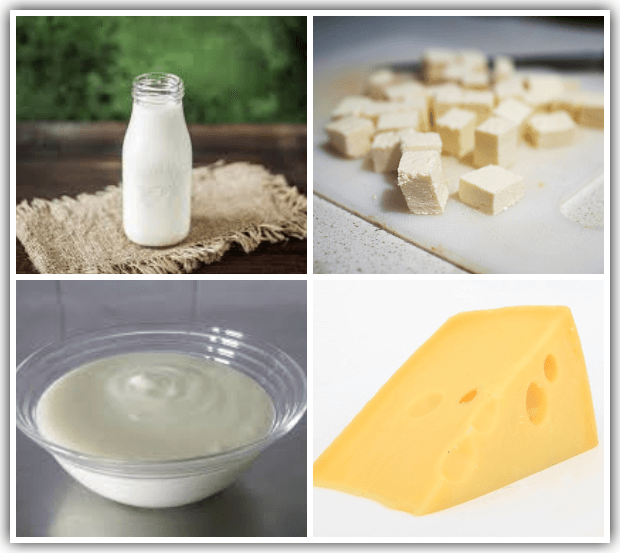 The Best Protein Sources for Babies and Kids Plant and Animal Based