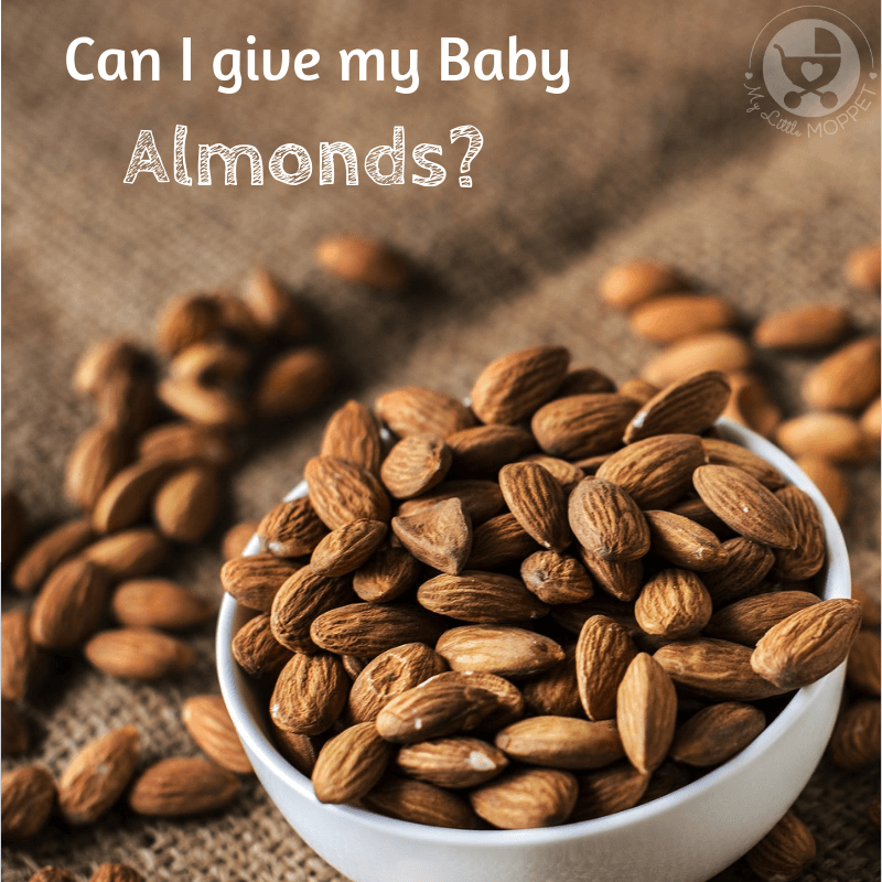Can I give my Baby Almonds?