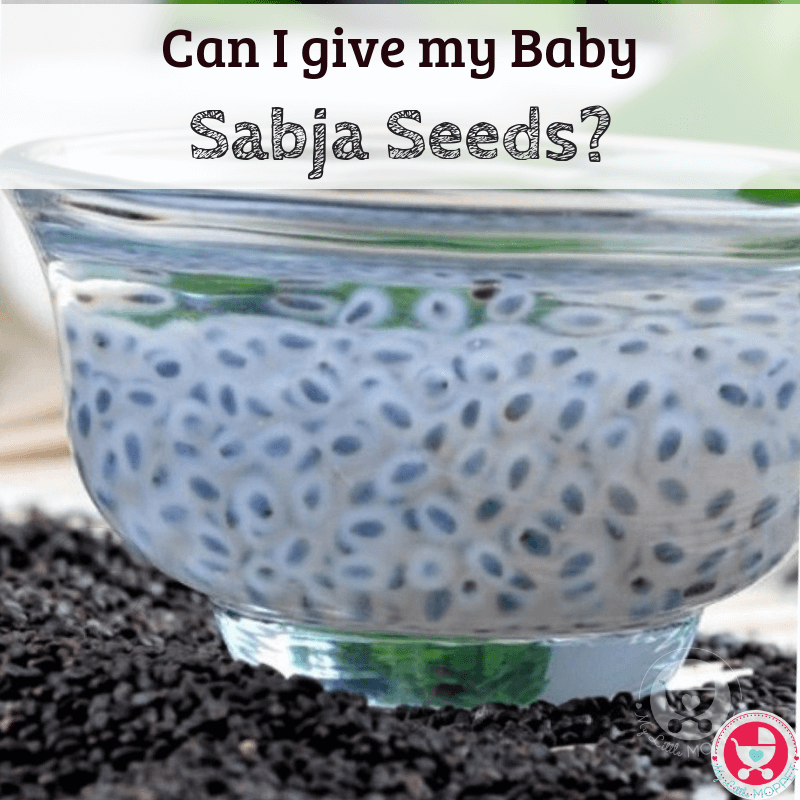 Sabja seeds are those tiny jelly like balls in your lemonade. Since they're so cooling, Moms often wonder: Can I give my Baby Sabja Seeds in summer?