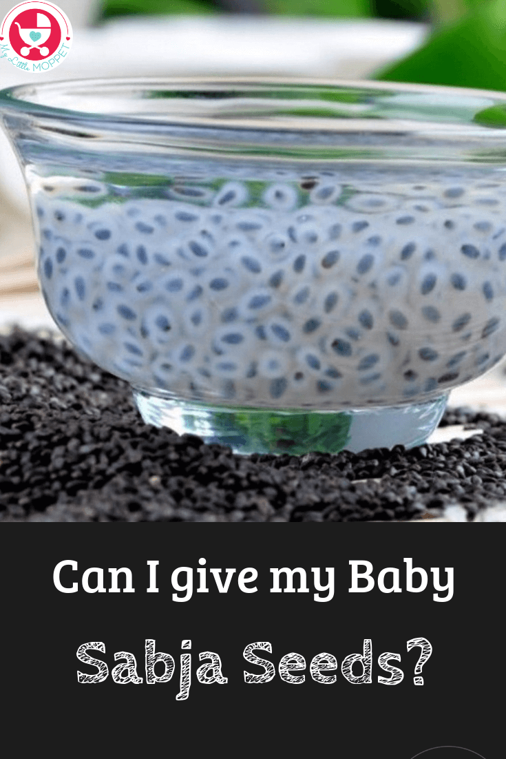 Sabja seeds are those tiny jelly like balls in your lemonade. Since they're so cooling, Moms often wonder: Can I give my Baby Sabja Seeds in summer?