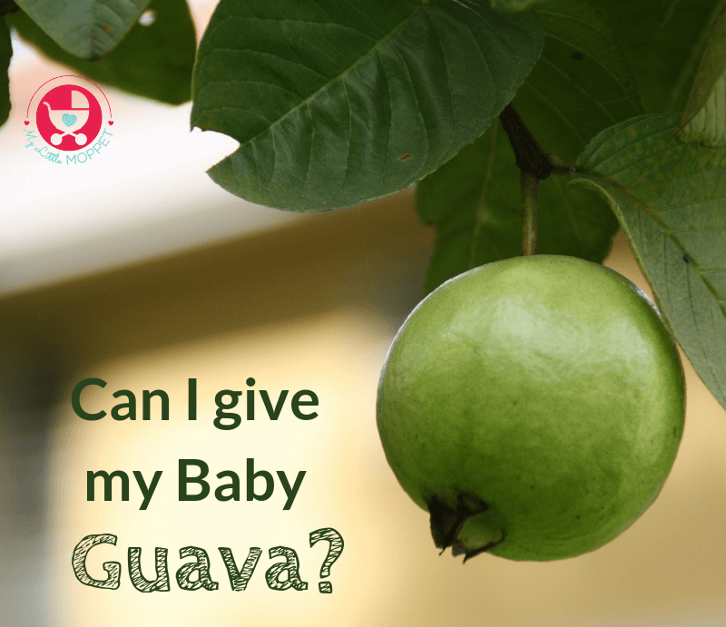 Can I Give My Baby Guava