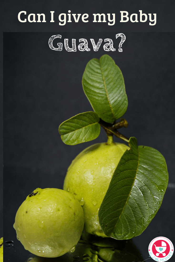 Can I give my Baby Guava?