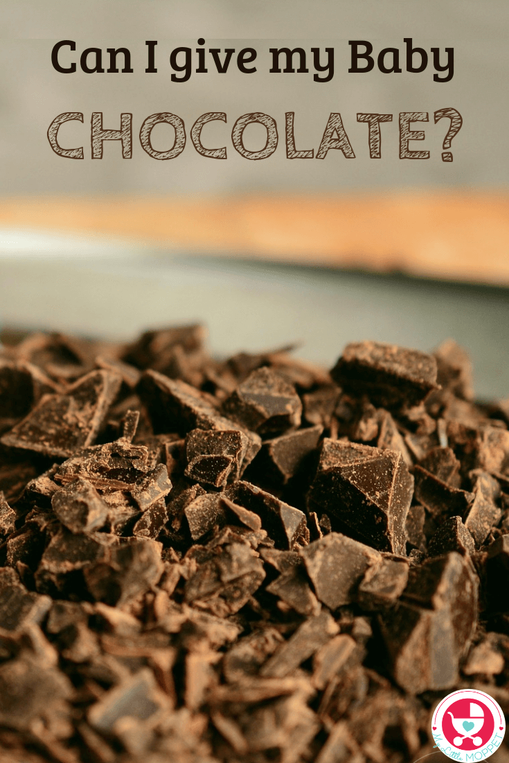 Chocolate has fans among all generations - from little ones to seniors! So it makes us wonder: Can I give my Baby Chocolate? Let's find out!