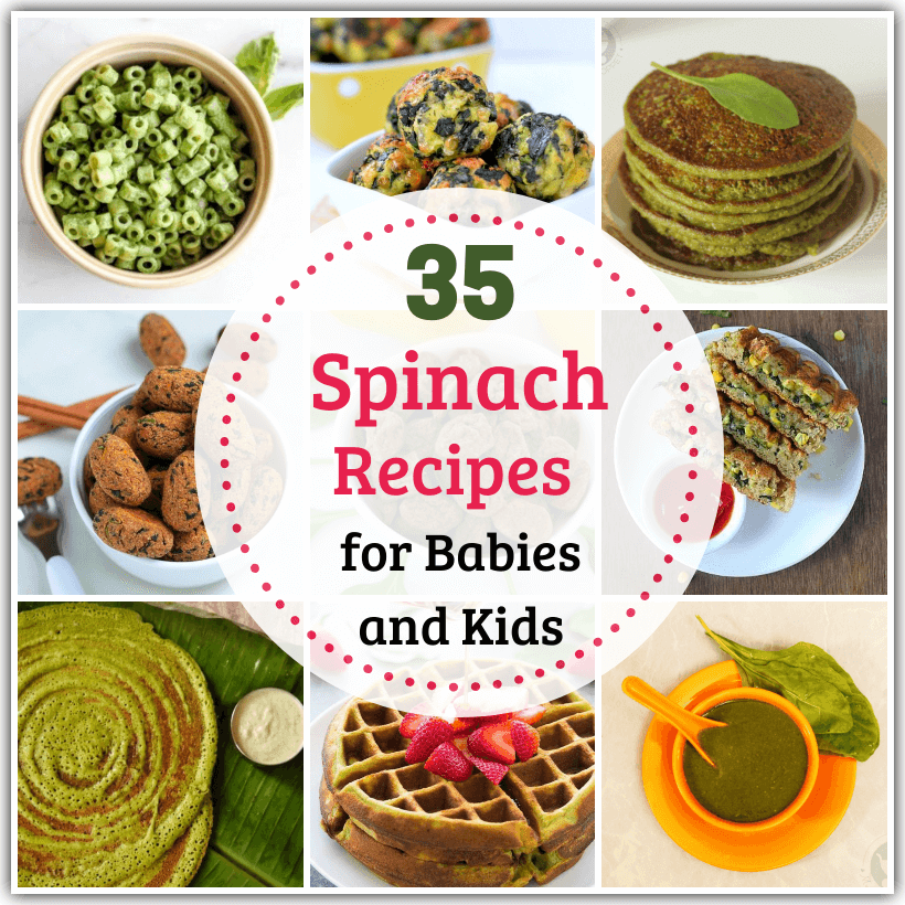 Kids turning away from spinach? We have you covered! Check out our healthy spinach recipes for babies and kids, perfect for all the fussy eaters out there!