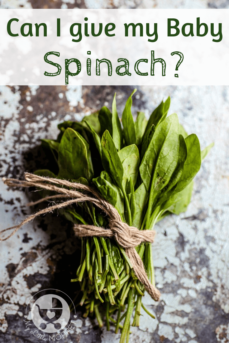 Spinach is one of the trickiest vegetables to feed kids. That's why most Moms want to introduce it as soon as possible and ask: Can I give my Baby Spinach?