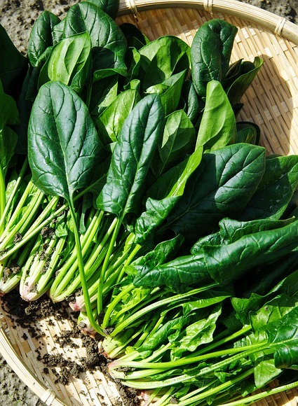 Spinach is one of the trickiest vegetables to feed kids. That's why most Moms want to introduce it as soon as possible and ask: Can I give my Baby Spinach?