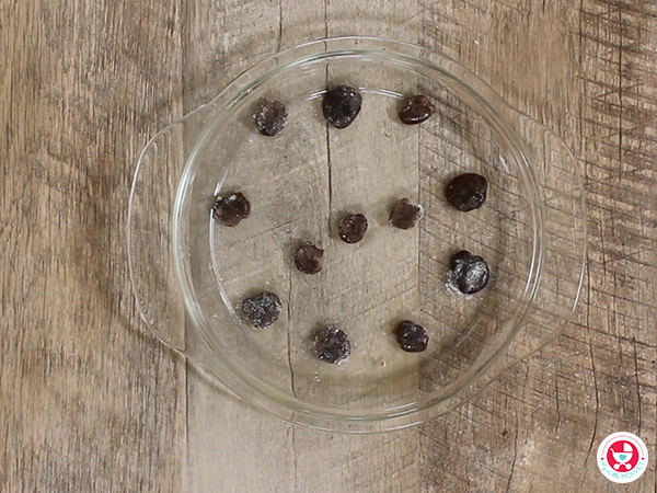 Homemade Cough Drops [Ginger Lemon Honey Cough Drops for kids]