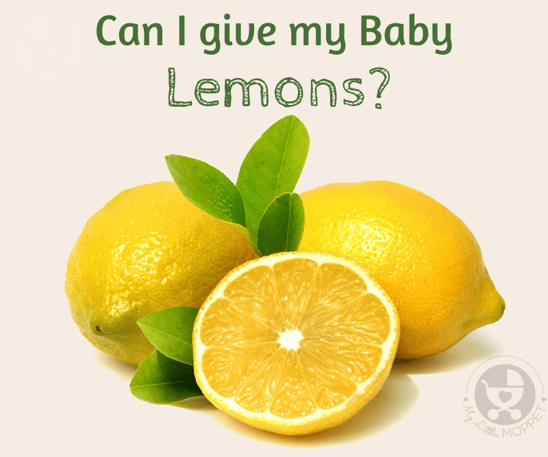 Can I give my Baby Lemon?